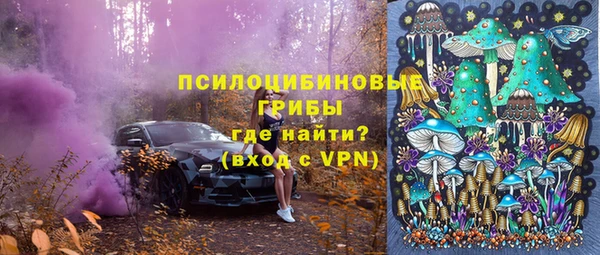 ПСИЛОЦИБИНОВЫЕ ГРИБЫ Армянск
