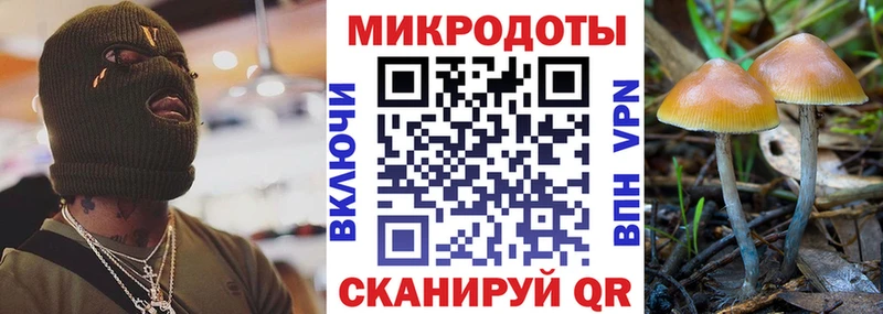 Псилоцибиновые грибы мицелий кракен ONION Старица
